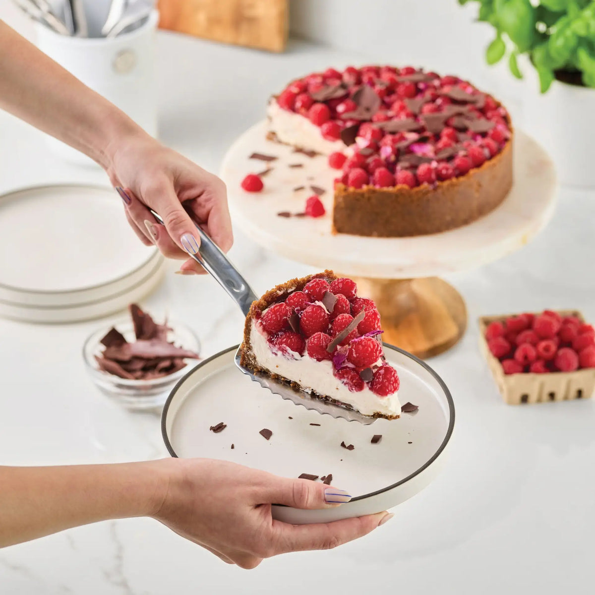 A person serves a slice of cheesecake topped with fresh raspberries and chocolate shavings onto a plate using the Hestan Provisions 10.5-inch Stainless Steel Pie & Cake Server. The remaining cheesecake rests on a cake stand nearby, with raspberries and chocolate scattered on the counter, evoking the elegance of professional chef’s kitchen tools.