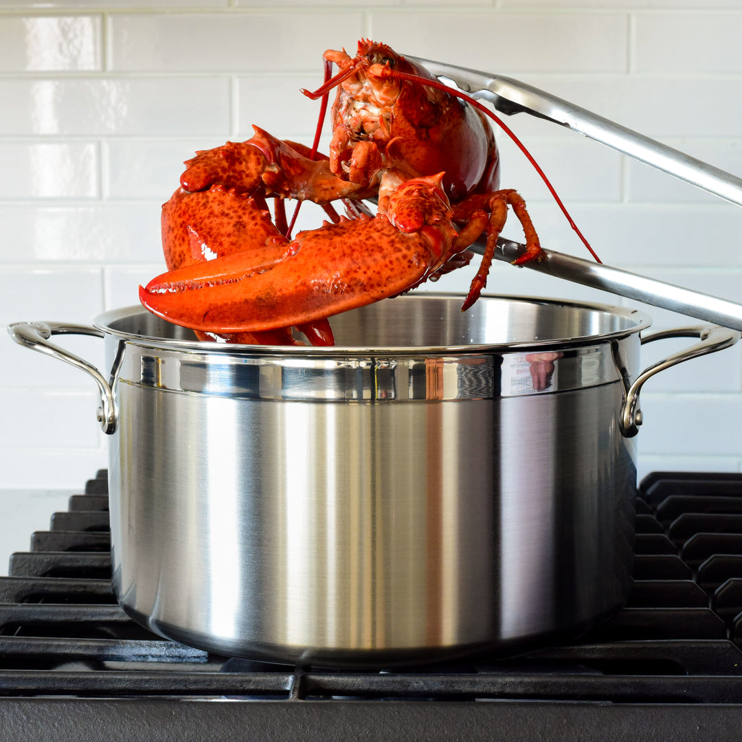 8 Qt. Stainless Steel Stock Pot with Lid, Heritage Steel