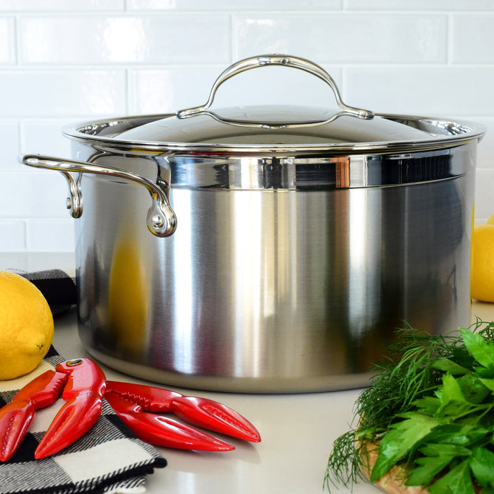 Professional Clad Stainless Steel Stockpot, 8-Quart - Hestan Culinary